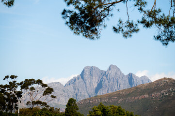 Mountain view with trees in the foreground