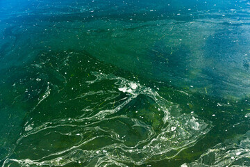 Surface of blooming water with algae. Abstract water surface background.
