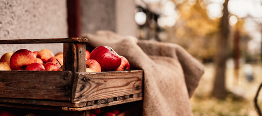 Ripe bio red apples in wooden box. View with space for your tex. Nature backround.