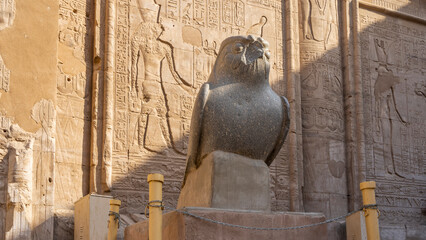 Granite sculpture of a falcon on the background of the wall of the ancient temple of Horus in Edfu....