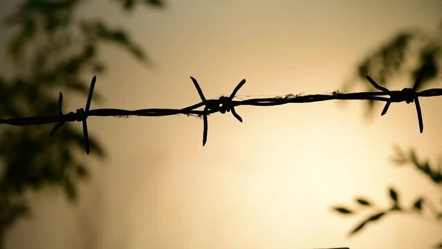 barbed wire against the sky closeup