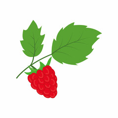 raspberry with leaves