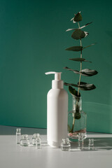 Eucalyptus and jars of cosmetics on a green background.