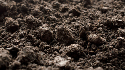 Fertile soil as a background, texture, top view. Soil texture background, top view. Fertile soil layer, humus, background, texture, top view.