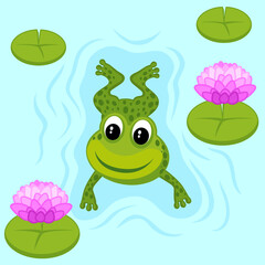 Cute cartoon style illustration of a frog swimming 