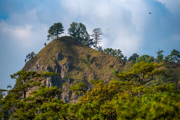 on the top of mountain peak in Thailand. rainforest in winter season with mountain range, pine tree in the jungle. stunning landscape in the world. south east Asia nature with national park. camping.