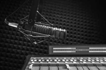 Professional microphone and sound mixer