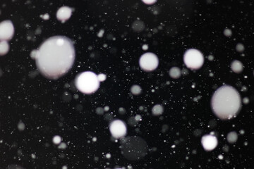 Fototapeta na wymiar Snow on a black background. Snowflakes for overlay. Snow background.