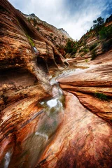 Foto op Plexiglas Dramatic rocks and stream in Zion Park © Fyle