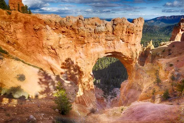 Poster Natural Bridge in Bryce Canyon National Park © Fyle