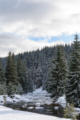 Fototapeta na wymiar View of the mountain stream in winter