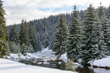 View of the mountain stream in winter