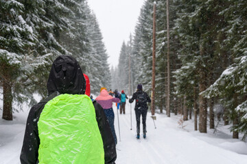 Cross-country skiers on the trail in winter