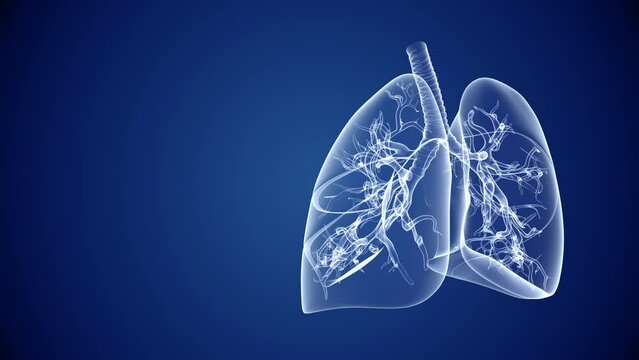 Human lungs healthcare and medical abstract background