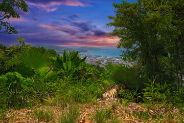 Buddah temple with beautiful views from top of mountain of Patong Phuket Thailand. Buddha religious...