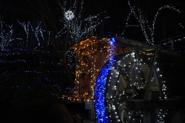 ライトアップ　キャピラノ　クリスマス　電飾　イルミネーション　電飾　夜　公園