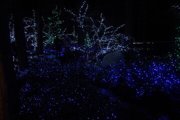 ライトアップ　キャピラノ　クリスマス　電飾　イルミネーション　電飾　夜　公園