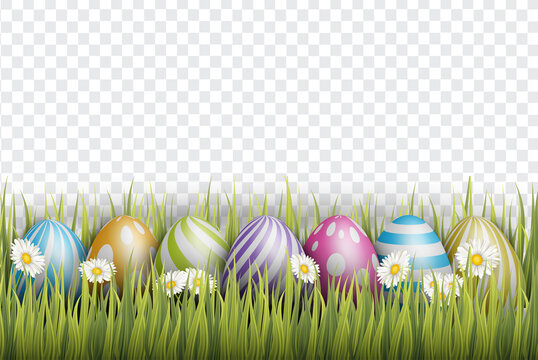 Easter background with realistic 3d colorful eggs, and daisy flowers on transparent backdrop. Vector illustration.