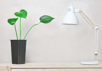 clean workplace with scandinavian style lamp and monstera plant. wooden desk minimal design. copy...