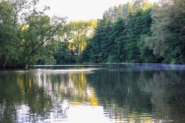 View of swamp in forest in rural Germany in summer with small dock with trees foliage in background and reflection on water. No people. 