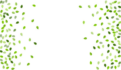 Grassy Leaf Fly Vector Wallpaper. Forest Greens