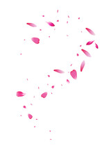Fototapeta na wymiar Pink Rose Blur Vector White Background. Beauty