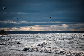 dark clouds on a windy beach shore coast