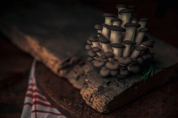 pleurotus mushrooms tree on top of very old chopping board