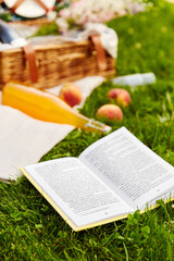 leisure and reading concept - close up of open book and picnic basket in summer park