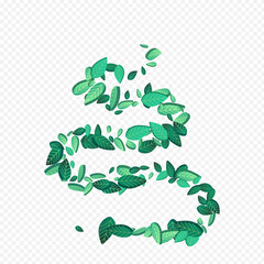 Olive Foliage Flying Vector Transparent