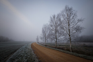 empty gravel road on a misty cold winter day with tree