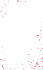 Beautiful Petal Japanese Vector White Background.