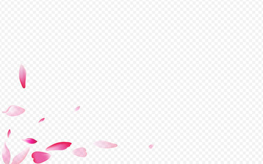 Bright Petal Vector Transparent Background. Lotus