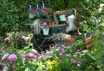 Beautiful arrangement of different shabby chic and upcycelt flower containers with different plants...