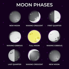 Illustration of different phases of the moon
