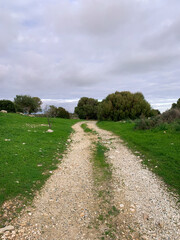 Ground roads and pathway in the fields 
