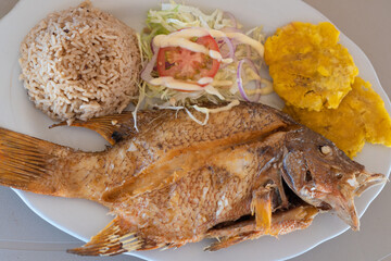 Fried Fish Dish in Colombia