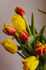 yellow and orange tulips on a light background