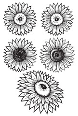 Sunflower silhouette vector illustrations