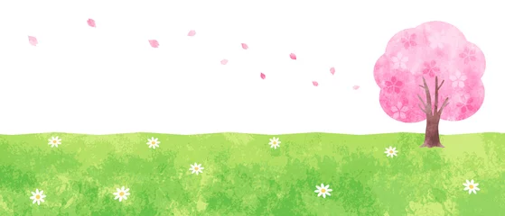 Foto op Canvas 手描き水彩　桜の木と野原の背景イラスト © fuwari
