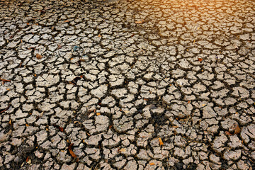 The ground is dry and cracked due to heat and there has been no rainfall for a long time due to global warming and el nino phenomenon.