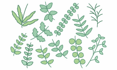 植物　葉　デザイン　素材　セット