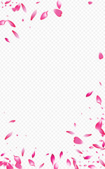 Fototapeta na wymiar Red Sakura Spring Vector Transparent Background.