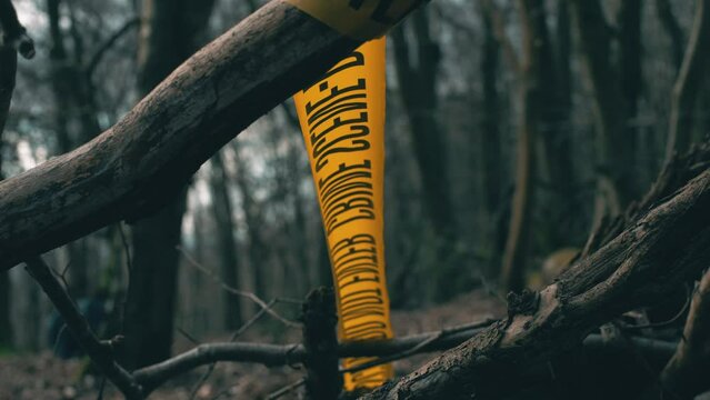 Crime scene in the woods. Taped and cornered off area with Crime Scene Tape all around the crime site. Killer on the lose