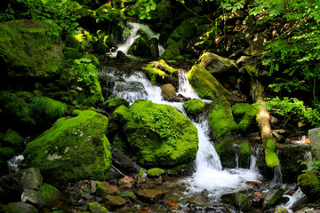 Fototapeta premium 御嶽山