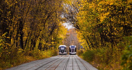 Strassenbahn im herbstlichen Park