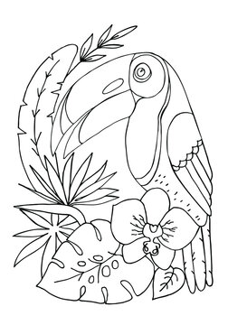 Coloring page with Tropical Bird. Toucan between flowers and leaves. Coloring book for kids or adult. Worksheet. Sketch vector illustration