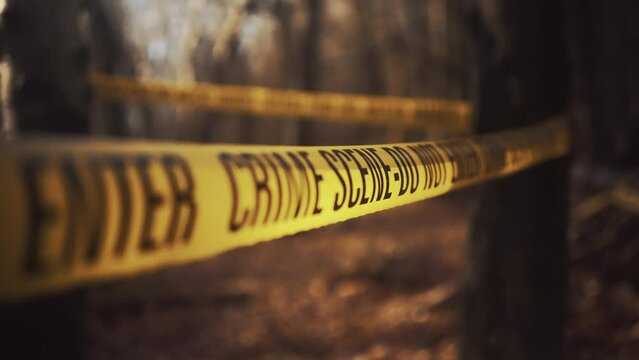 Crime scene in the woods. Taped and cornered off area with Crime Scene Tape all around the crime site. Killer on the lose