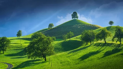 Papier Peint photo Vert-citron paysage avec herbe et ciel
