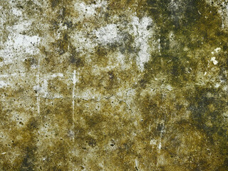 dirty concrete floor with moss texture